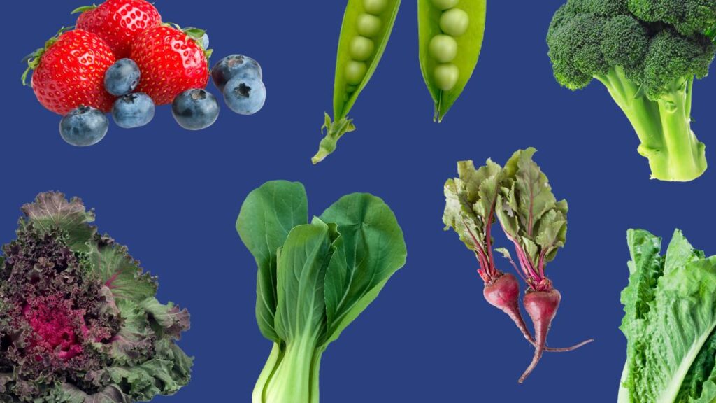 Cuál es el mejor momento para plantar verduras en la Zona 8