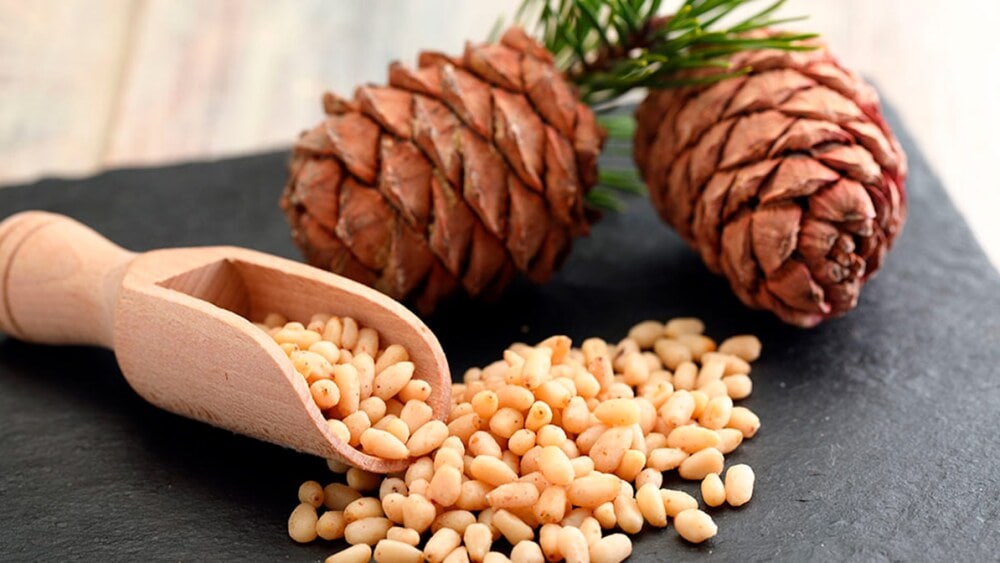 Cuál es el origen de los piñones