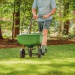 Cuál es la forma correcta de regar el césped durante la primavera