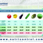 Cuál es la mejor temperatura de crecimiento para los tomates