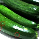Cuál es la razón de los bultos en el calabacín