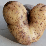 Cuál es la razón detrás de las patatas deformes
