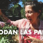 Cuál es la técnica adecuada para podar plantas de papa