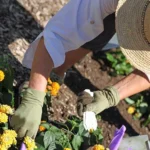 Cuál estilo de jardinería y jardinero te conviene más