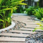 Cuáles son las mejores plantas de paso para caminar por el jardín