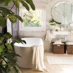 Cuáles son las mejores suculentas para decorar tu baño