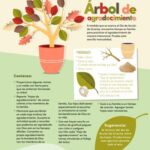 Cuáles son las plantas que representan gratitud y aprecio
