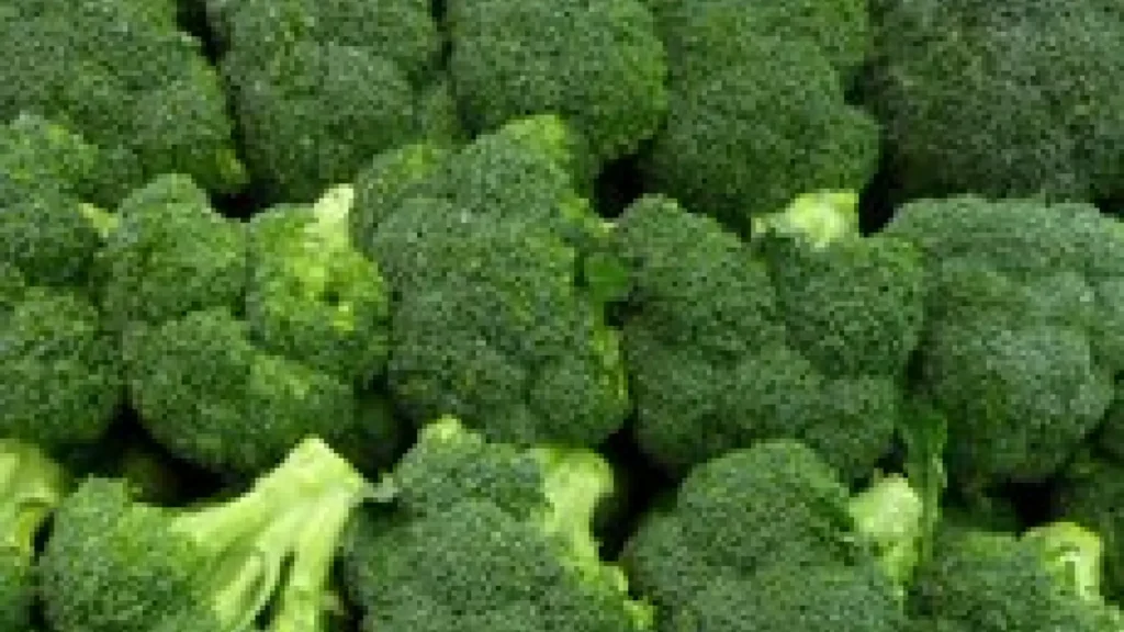 Cuáles son las posibles causas de que el brócoli no forme cabezas