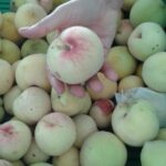 Cuáles son las variedades de duraznos blancos más comunes