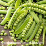 Cuáles son las variedades de guisantes para desgranar