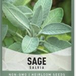 Cuáles son las variedades ideales de salvia para tu jardín