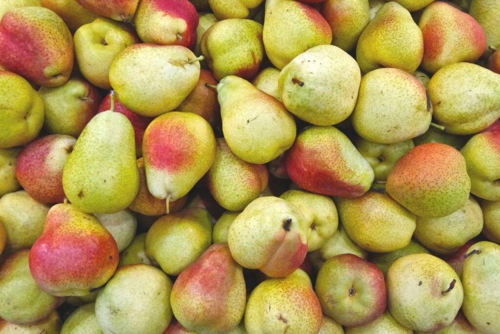 Cuáles son las variedades más populares de peras
