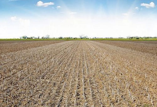 Cuáles son las ventajas de dejar las tierras en barbecho
