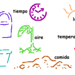 Cuáles son los cuidados necesarios para hacer crecer una planta risueña