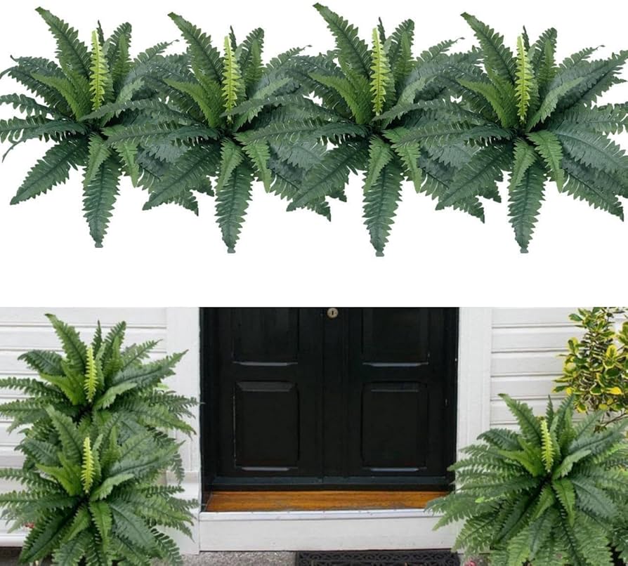 Cuáles son los helechos más resistentes para jardines fríos