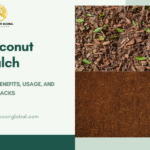 Cuáles son los pros y contras del mulch de coco en la jardinería