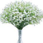 Cuáles son los tipos de Gypsophila ideales para Baby’s Breath