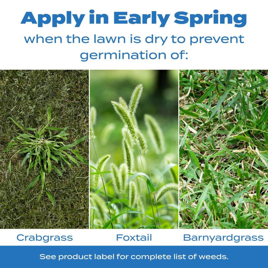 Cuáles son los tipos de malezas de crabgrass más conocidos