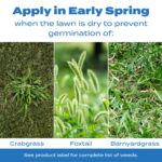 Cuáles son los tipos de malezas de crabgrass más conocidos
