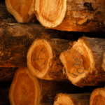 Cuáles son los usos y curiosidades de la madera de teca