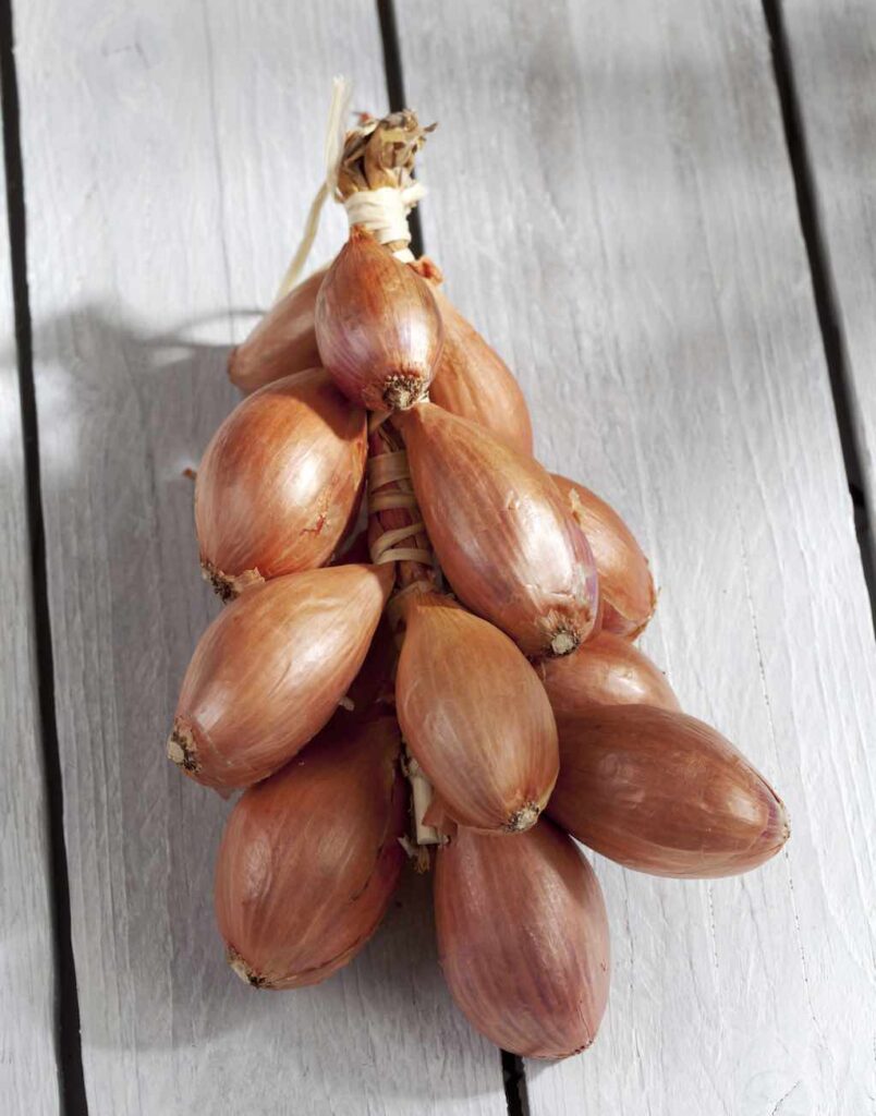 Cuándo cosechar chalotes para obtener los mejores resultados