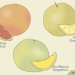Cuándo recolectar pomelos Cómo saber si están maduros