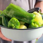 Cuándo sembrar pepino y pimiento en interior en Zona 7