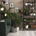 Decora tu hogar con plantas de interior elegantes y hermosas