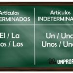 Diferencias entre papas determinadas e indeterminadas