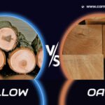 Diferencias entre pin oak y willow oak en jardinería
