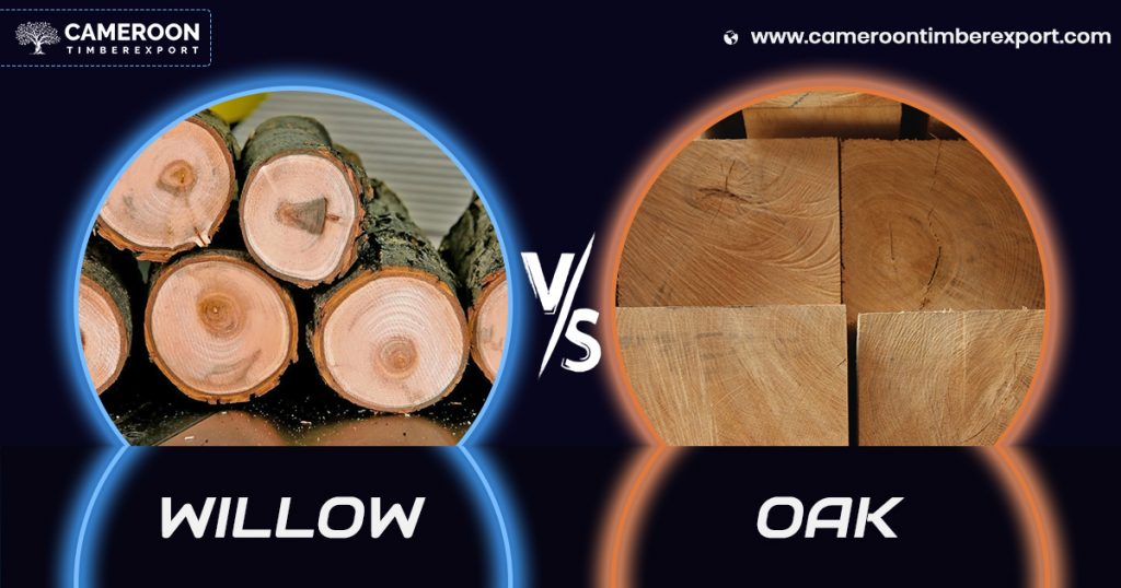 Diferencias entre pin oak y willow oak en jardinería