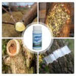 Es recomendable vendar árboles para proteger heridas