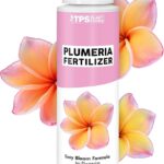 Fertilizar plumeria: cuándo y cómo hacerlo correctamente