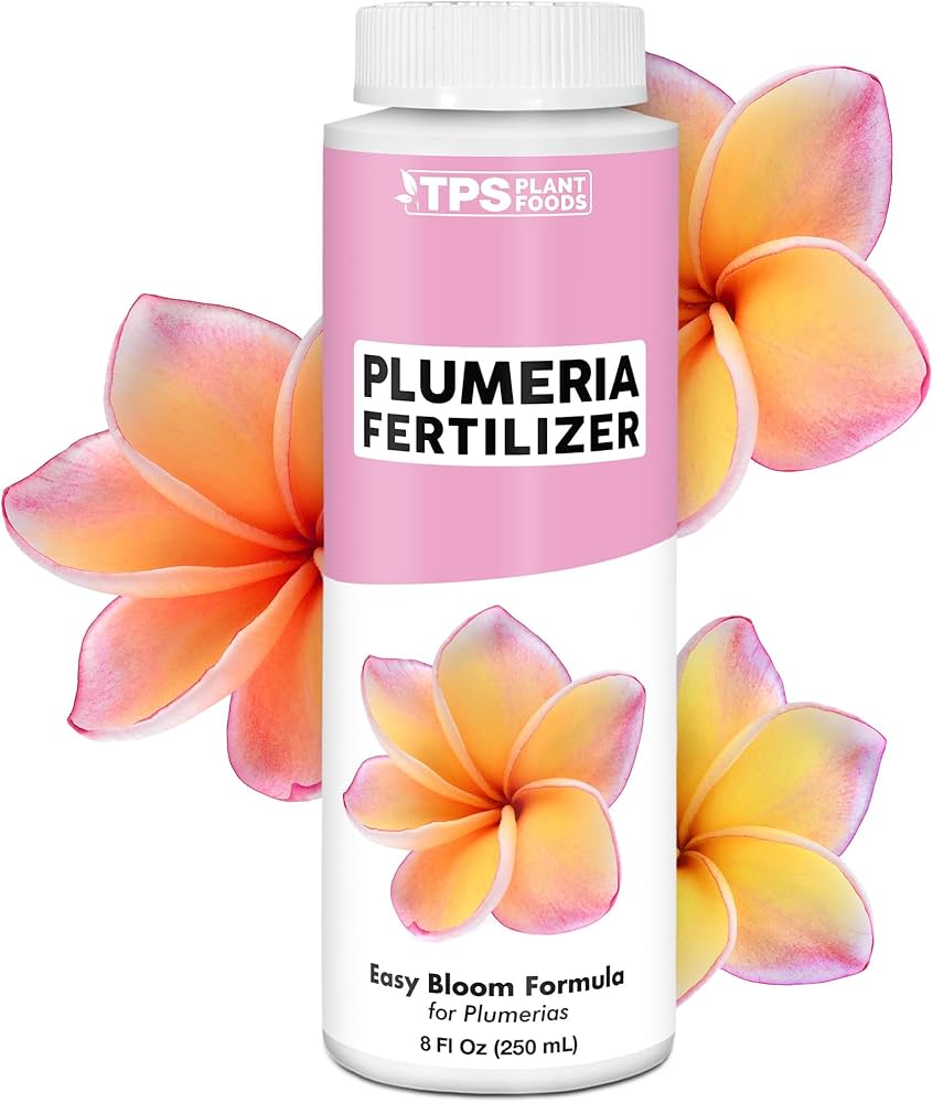 Fertilizar plumeria: cuándo y cómo hacerlo correctamente