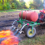 Fuego para control de malas hierbas: beneficios y desventajas