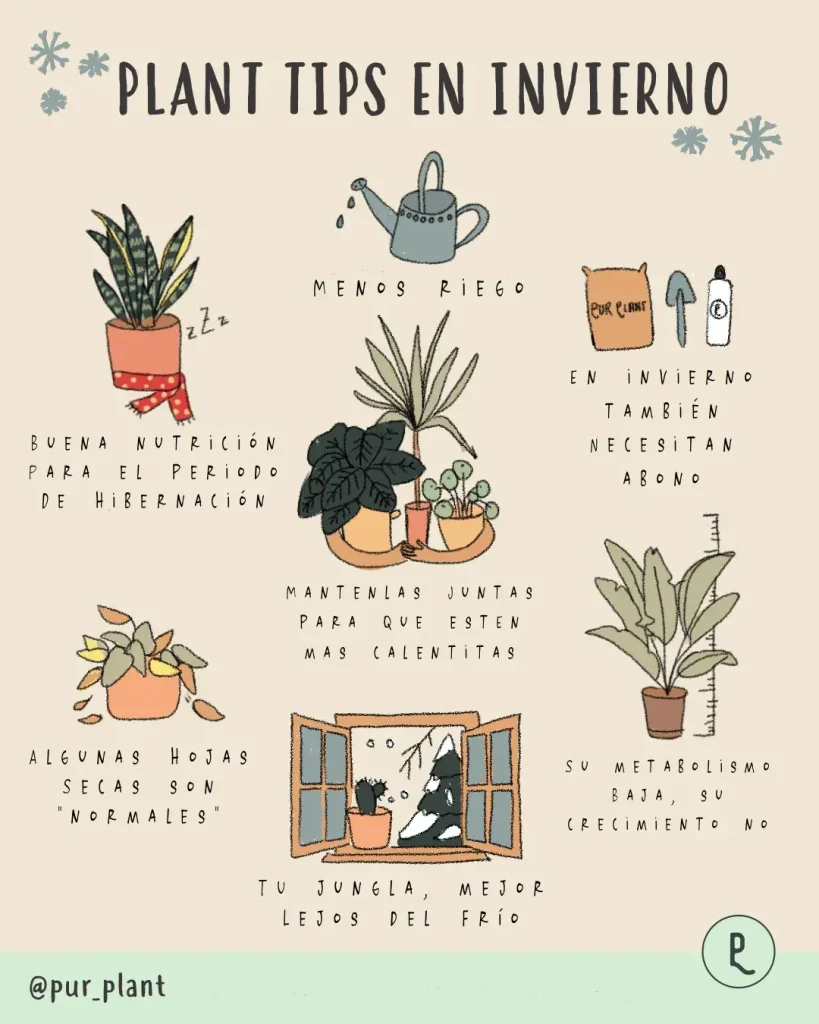 Ideas de títulos para propagación de plantas en invierno