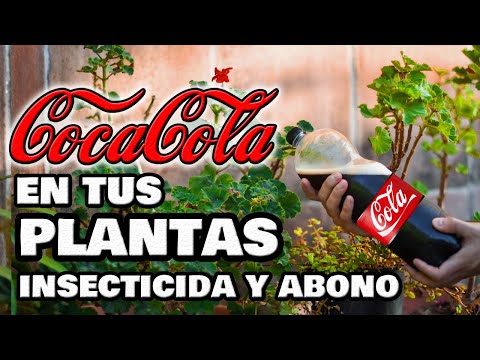 La cola de soda es un buen fertilizante para plantas
