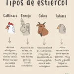 Las heces de venado son un buen abono para las plantas