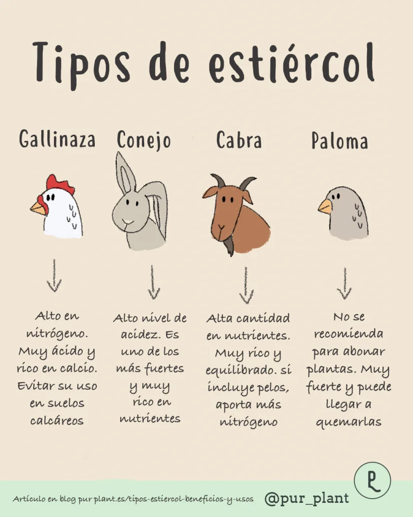 Las heces de venado son un buen abono para las plantas