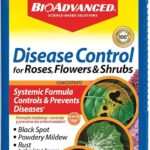Mejor fertilizante para daylilies y cómo usarlo