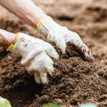 Mejorando suelos alrededor de plantas – Guía práctica