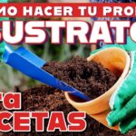 Mezcla para macetas sin suelo: Qué es y cómo hacer la tuya