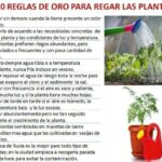 Normas que rigen propagación de plantas patentadas