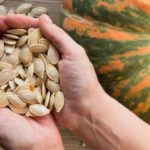 Pepitas vs semillas de calabaza: Cuál es la diferencia