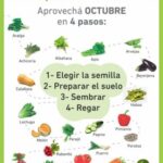 Plantar verduras de invierno en la Zona 8 en octubre