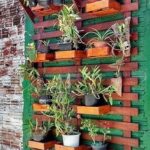 Plantas ideales para decorar paredes de ladrillo