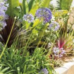 Plantas para suelo húmedo y pleno sol: las mejores opciones