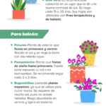 Plantas voluntarias en el jardín: definición y características