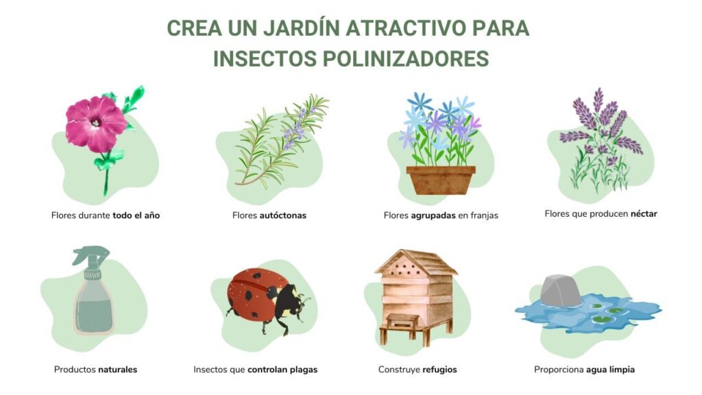 Polinizadores en huertos: Plantas compañeras y beneficios