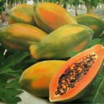 Por qué la papaya sin semillas es tan especial